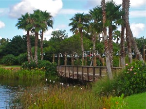 Coronado Spings Landscape