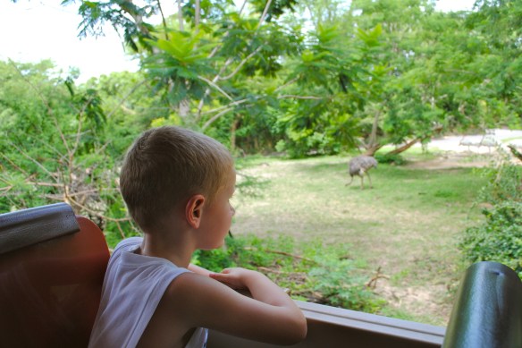 Isaac on Kilimanjaro