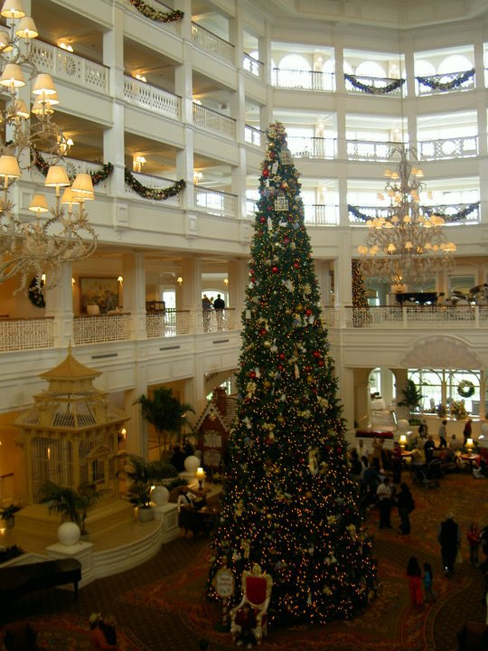 Grand Flo Christmas Tree 2